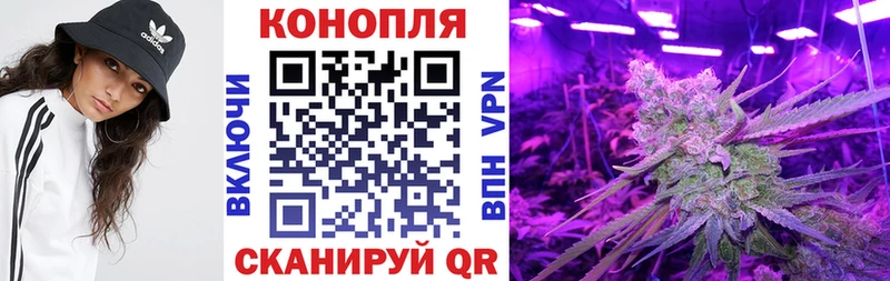Что такое Саратов ГАШИШ  Псилоцибиновые грибы  Кокаин  Меф  Бошки Шишки 
