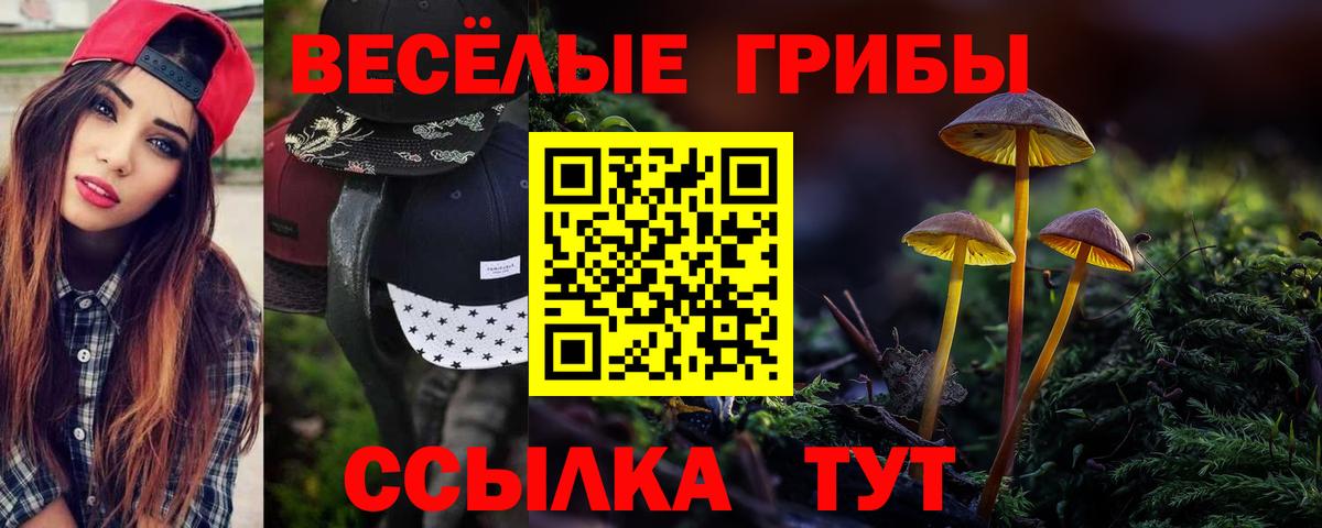 сколько стоит  Псилоцибиновые грибы прущие грибы  Вход с VPN  Саратов 